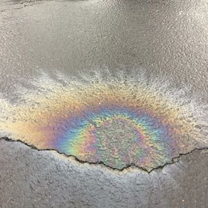 Meet your Posher, Jordyn